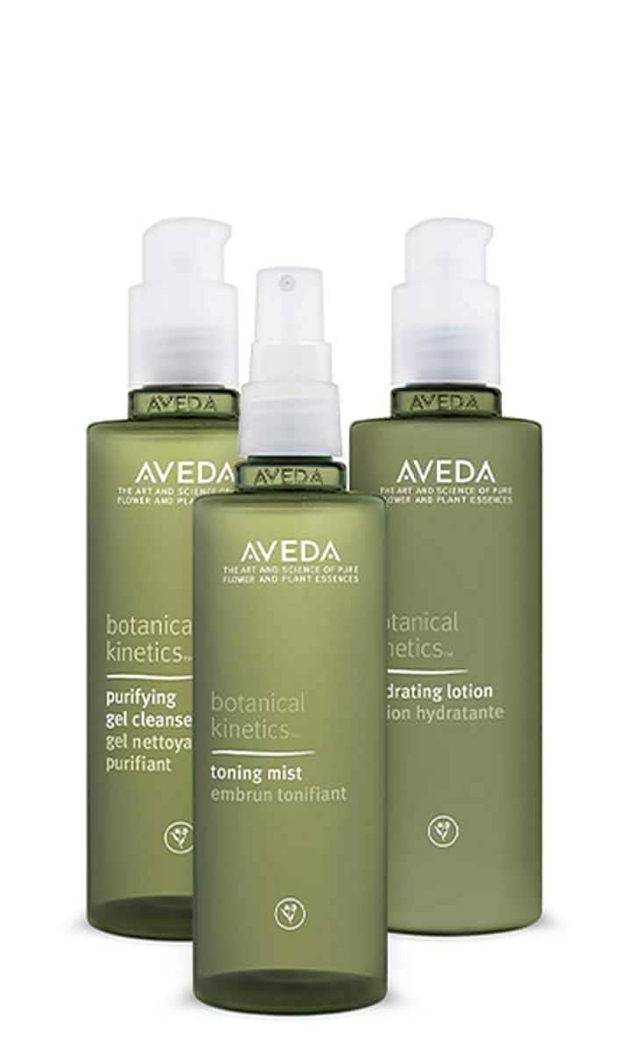 Skin & Body Aveda Oily | Botanical Kinetics